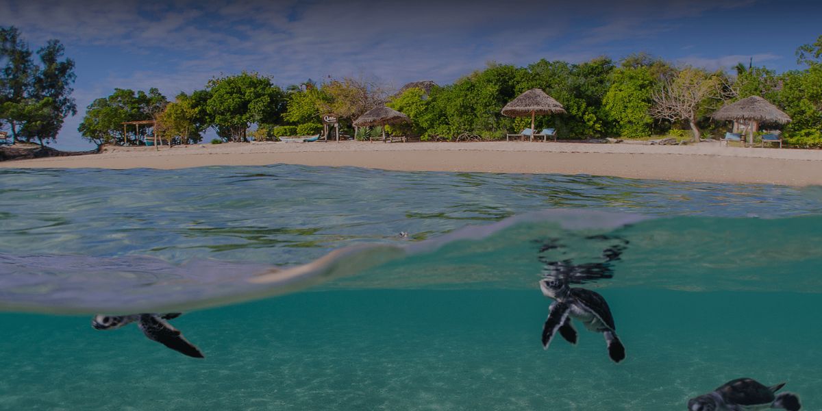 Ilha de Benguerra fica entre Bazaruto e a costa e reúne praias extensas