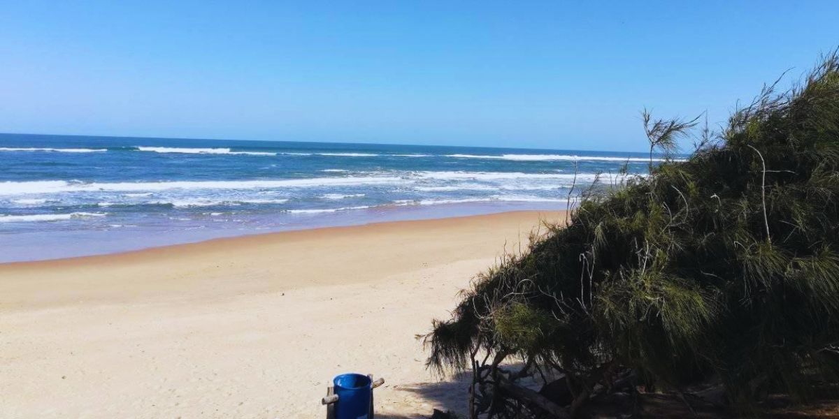 A Chegada a um Paraíso Inesperado