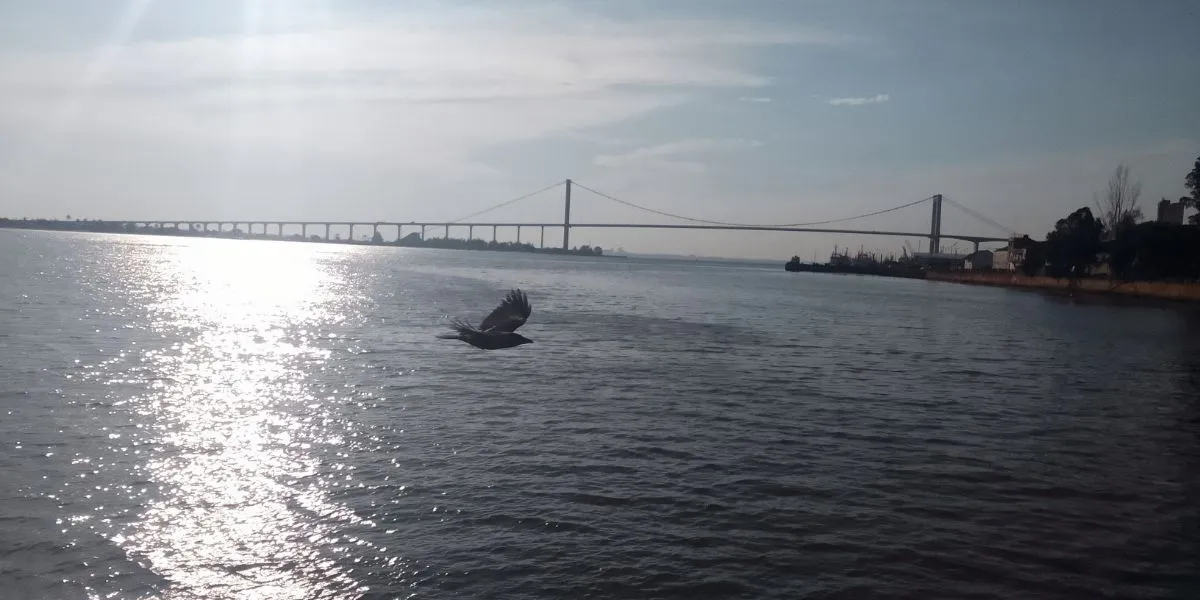 O que quase ninguém te conta sobre passar o Sábado na Catembe