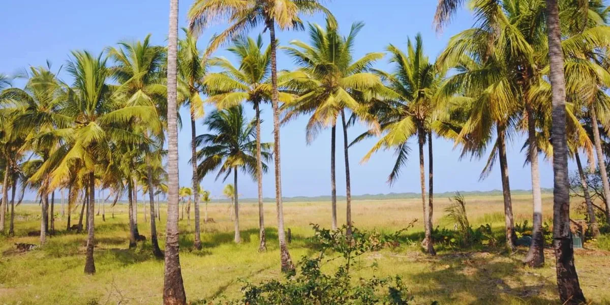 Imagem da galeria para praia-de-dengoine