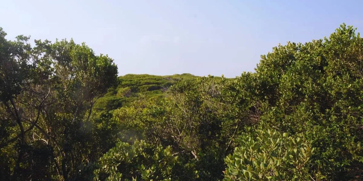 Imagem da galeria para praia-de-dengoine
