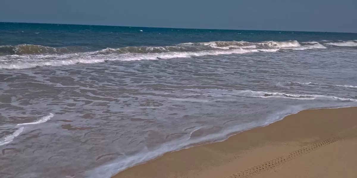 Imagem da galeria para praia-de-macaneta