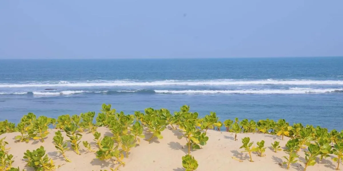 Praia Praia de Dengoine em Moçambique