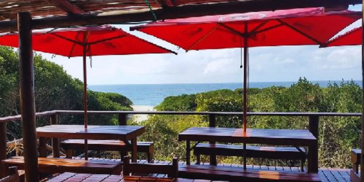 Restaurantes em Macaneta: Guia Completo dos Melhores Sabores de Marisco